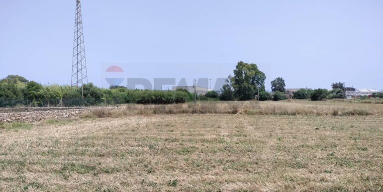 20231127222919-811572-5