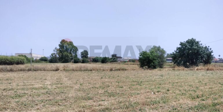 20231127222923-811572-6