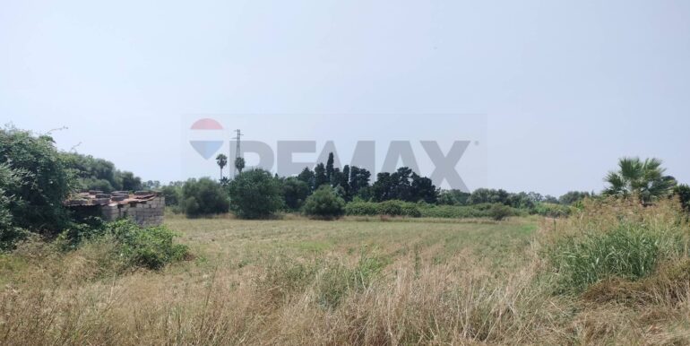 20231127222927-811572-7