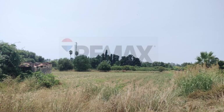 20231127222931-811572-8