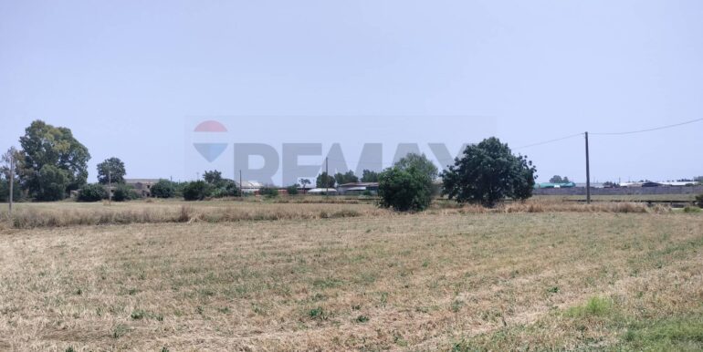 20231127222935-811572-9