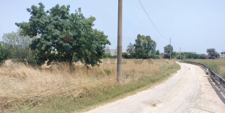 20231127222947-811572-12