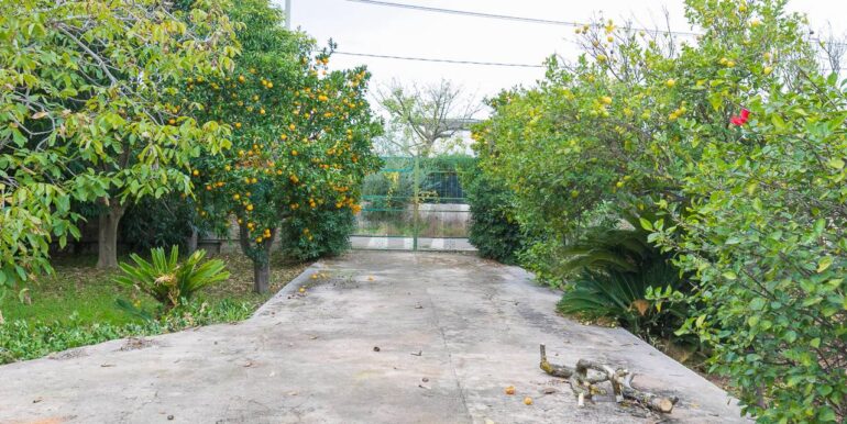 20240105111327-815129-37