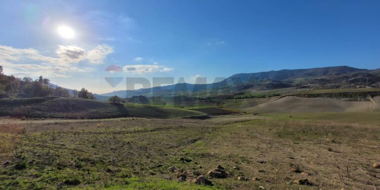 20240127200334-823886-4