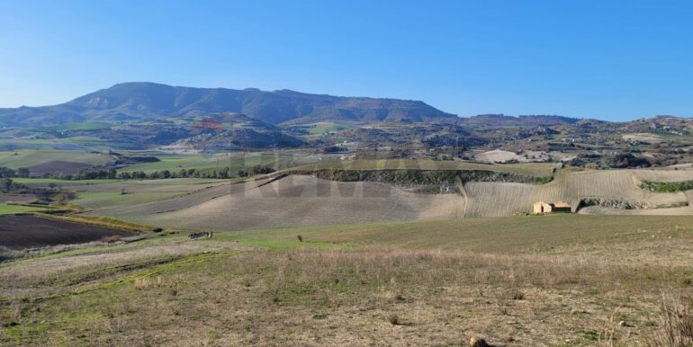 20240127200347-823886-8