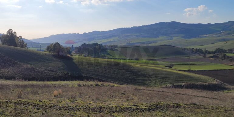 20240127200359-823886-11