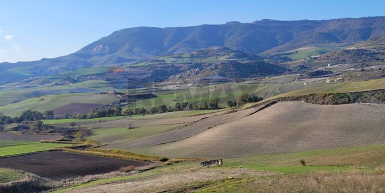 20240127200402-823886-12