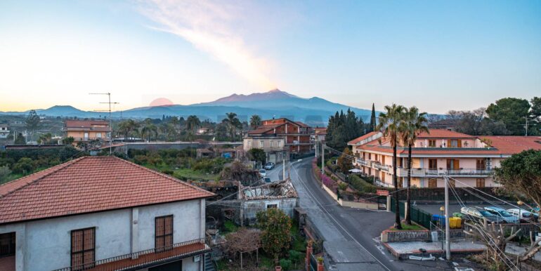 2024020391229-827535-1