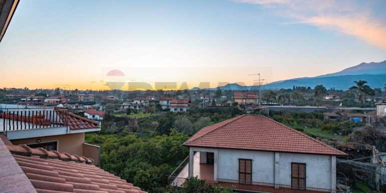 2024020391351-827535-11