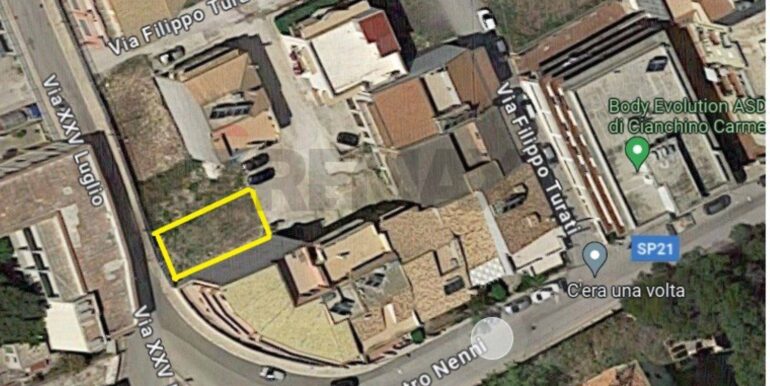 20240206114632-828335-5