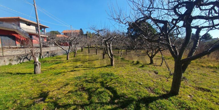 20240209111210-830377-10