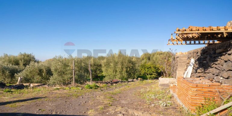 2024021572330-831853-1