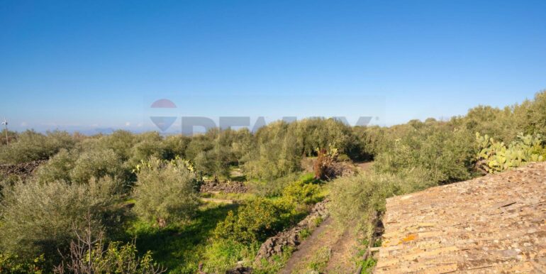 2024021572332-831853-2