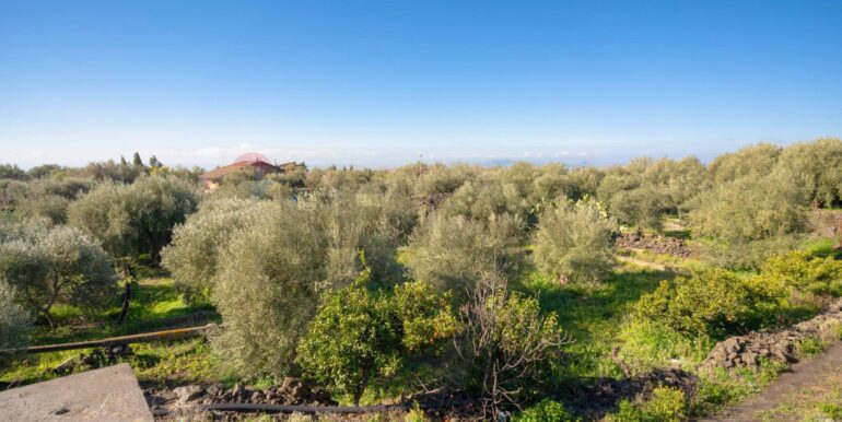 2024021572335-831853-3