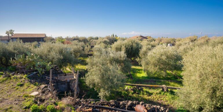 2024021572340-831853-5