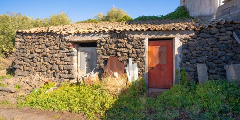 2024021572345-831853-7