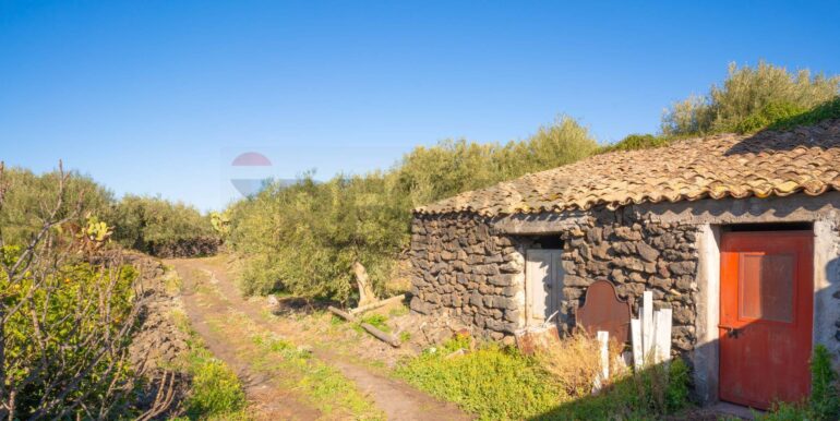 2024021572348-831853-8