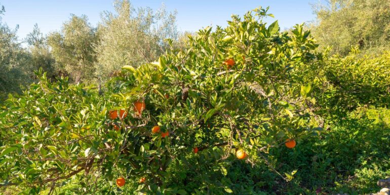 2024021572354-831853-10