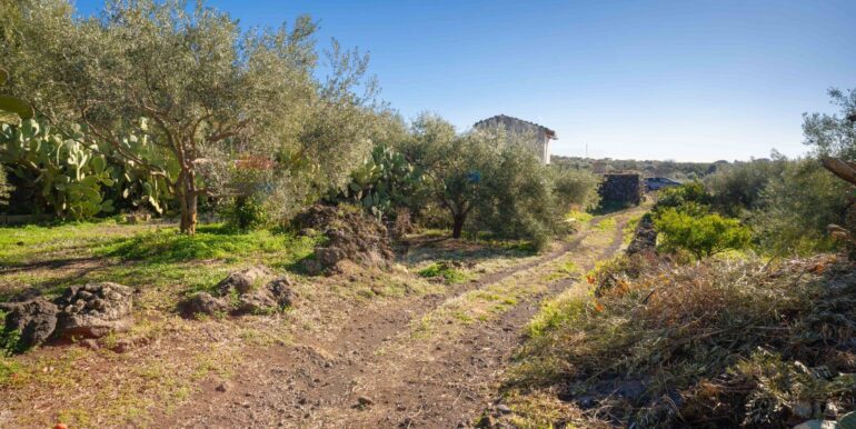 2024021572358-831853-11