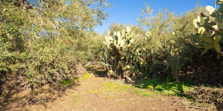 2024021572401-831853-12