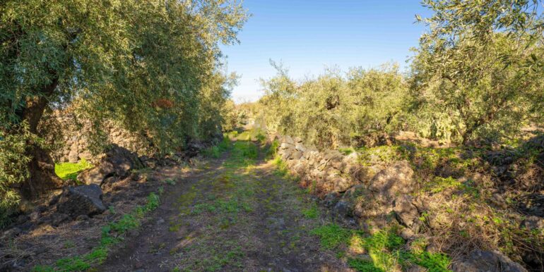 2024021572404-831853-13