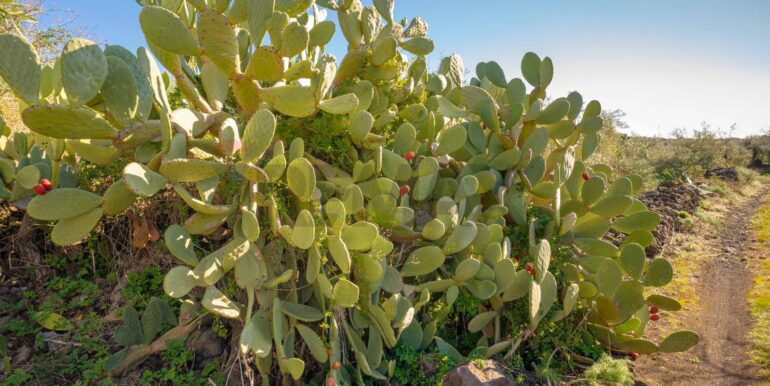 2024021572407-831853-14