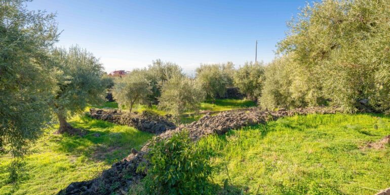 2024021572414-831853-16