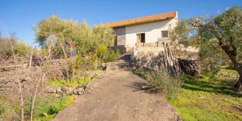 2024021572417-831853-17