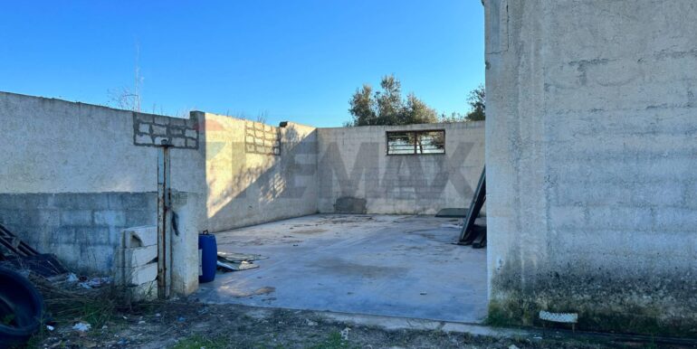 20240216200341-832863-4