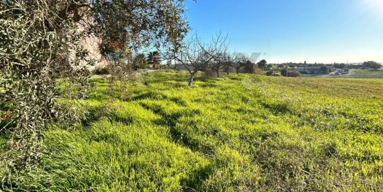 20240216200431-832863-19