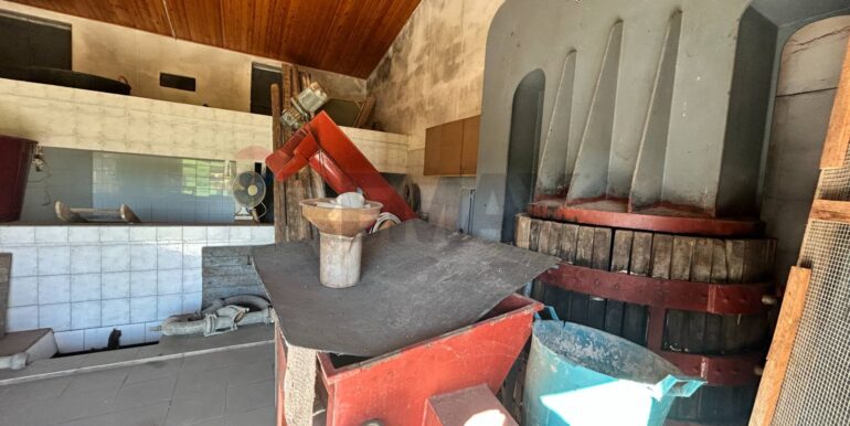 2024022885340-836201-5