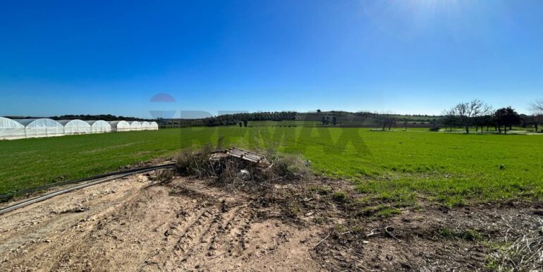 2024022885352-836201-9