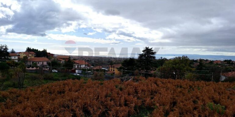 20240305160356-840112-1