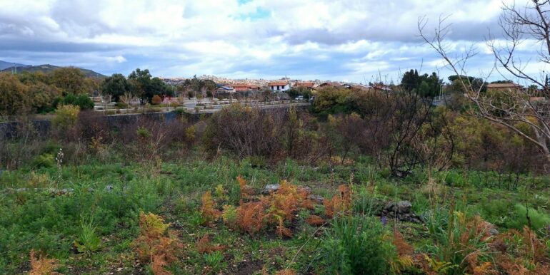 20240305160357-840112-2