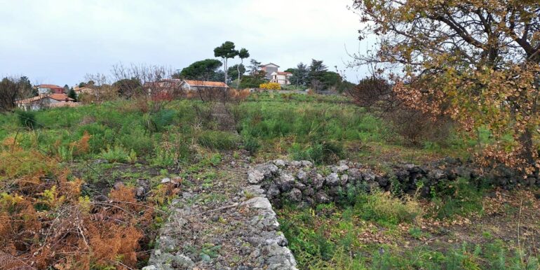 20240305160400-840112-3