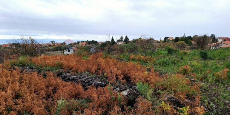 20240305160402-840112-4