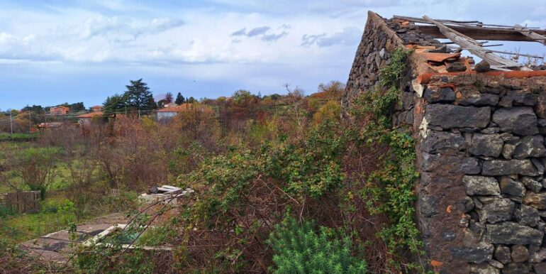 20240314191008-840112-9