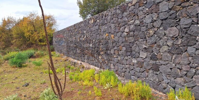 20240314191021-840112-15