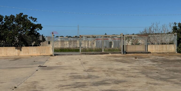 20240318113934-843767-4