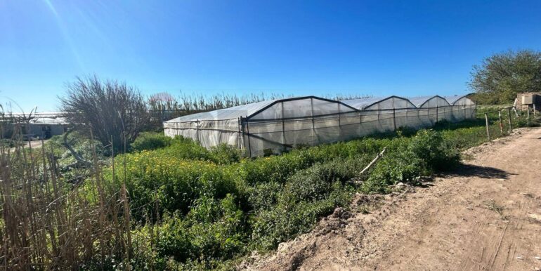 20240328173616-847005-1