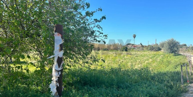 20240328173622-847005-3