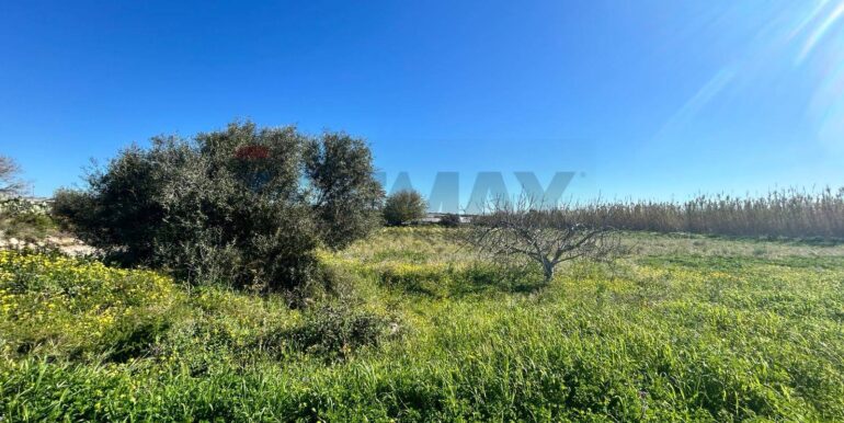 20240328173626-847005-4