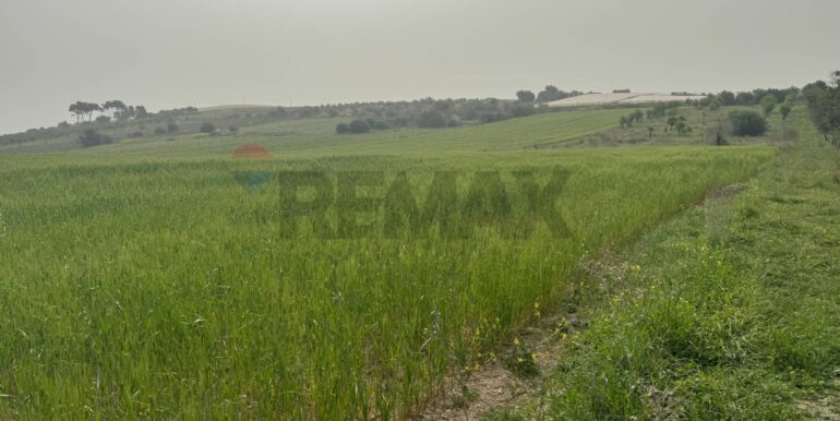 20240402113244-847519-2