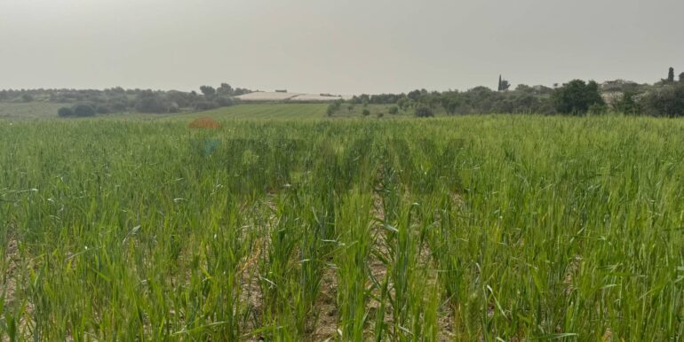 20240402113248-847519-3