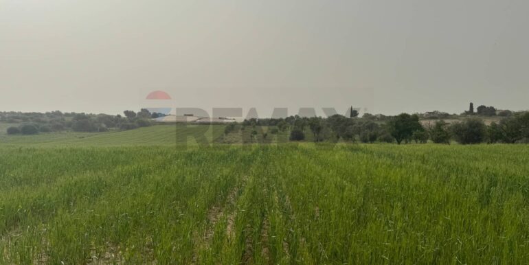 20240402113251-847519-4