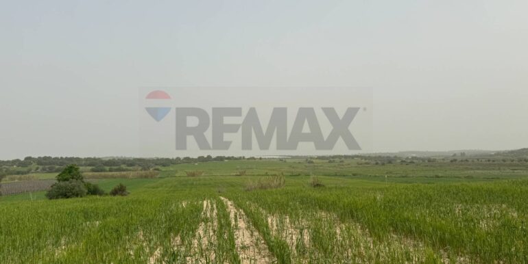 20240402113254-847519-5