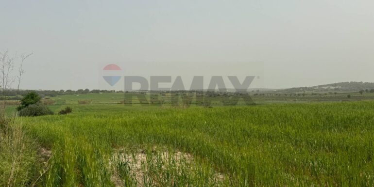 20240402113301-847519-7