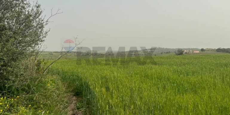 20240402113304-847519-8