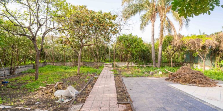 20240418105239-852470-10