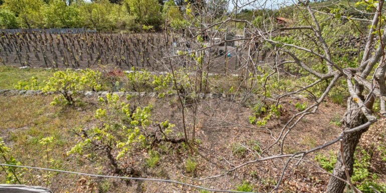 20240422181804-853382-4